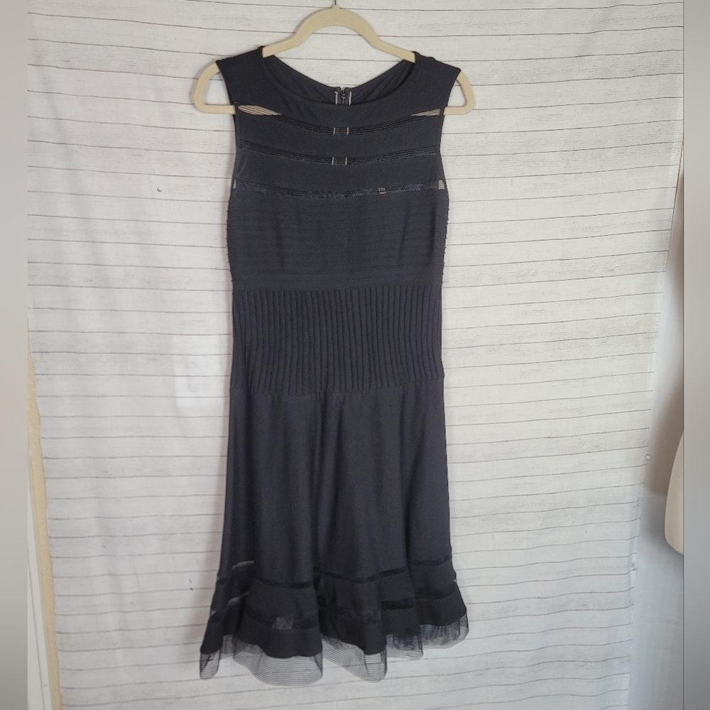Tadashi Shoji Fit & Flare Sleeveless Illusion Stripes Dress in Black, sz Med Pet - Picture 2 of 16